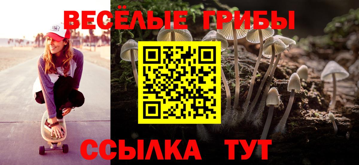 Псилоцибиновые грибы прущие грибы Канаш