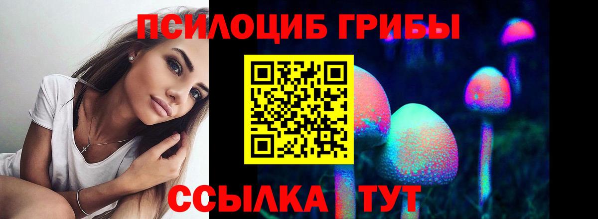 Канаш  Галлюциногенные грибы ЛСД  Галлюциногенные грибы Magic Shrooms  Вход с VPN 